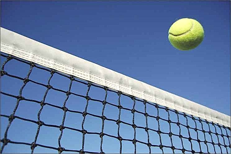 Selex tt - 460 Tenis Ağı