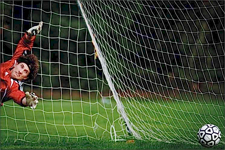 Selex S-030W Futbol Kale Ağı