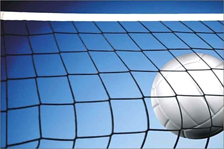 Selex V - 350 Voleybol Ağı