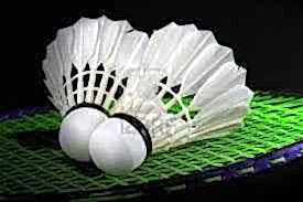Badminton Topları