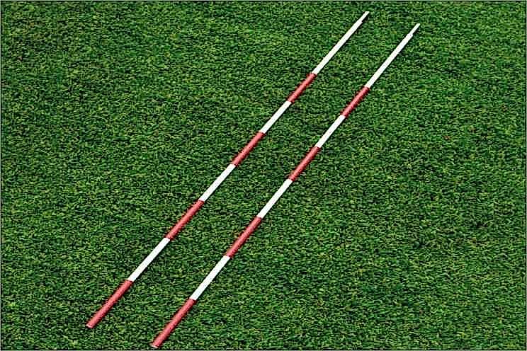 Selex Fiber Vol. Anteni