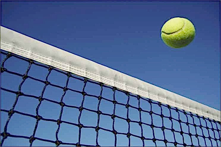 Selex tt - 410 Tenis Ağı