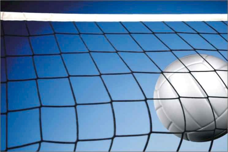 Selex V - 450 Voleybol Ağı