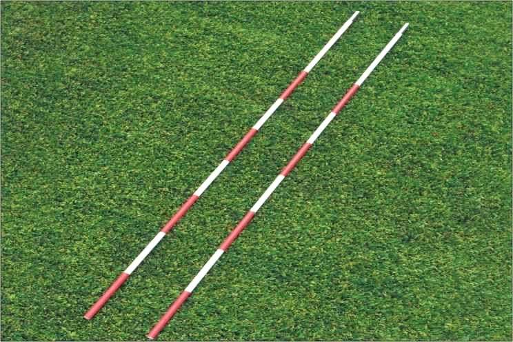 Selex Voleybol Anteni