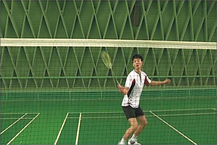 Selex B-290 Badminton Ağı