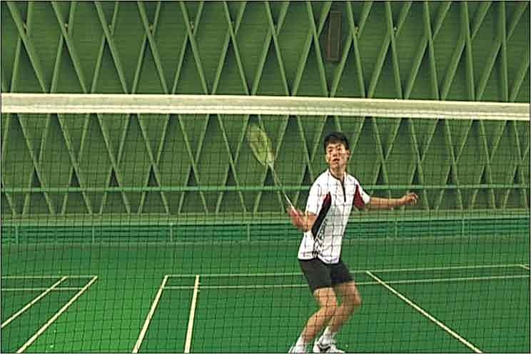 Selex B-250 Badminton Ağı