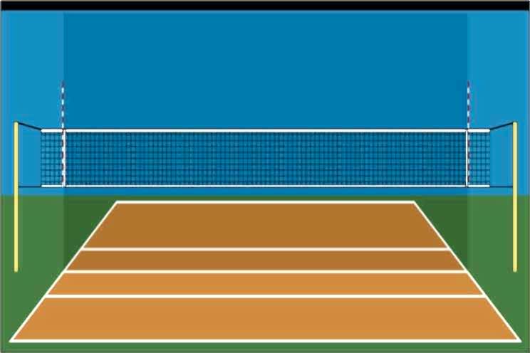 Selex V - 550 Voleybol Ağı